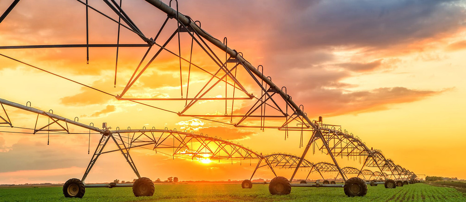 WE WELCOME TO THE HEART OF THE CENTRAL VALLEY FARMING REGION